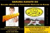 A ESCUELA DE KARATE DARUMA